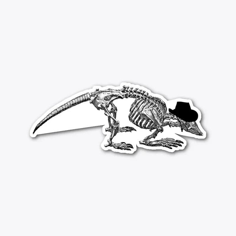 Cowboy Armadillo Skeleton